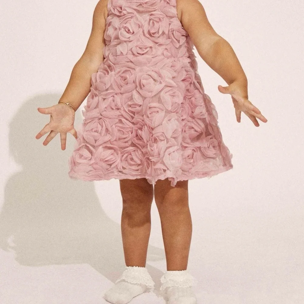 Bardot Junior ‘Pia’ Dress in Rose - Picture 5 of 6